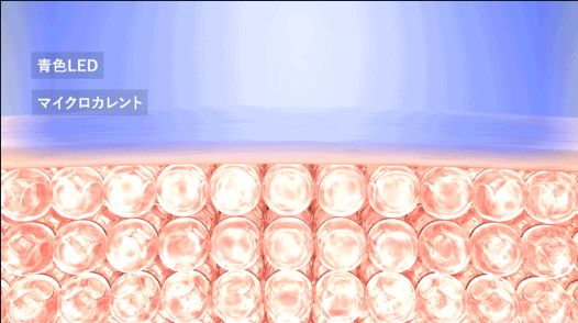 ディズム　整えるモード